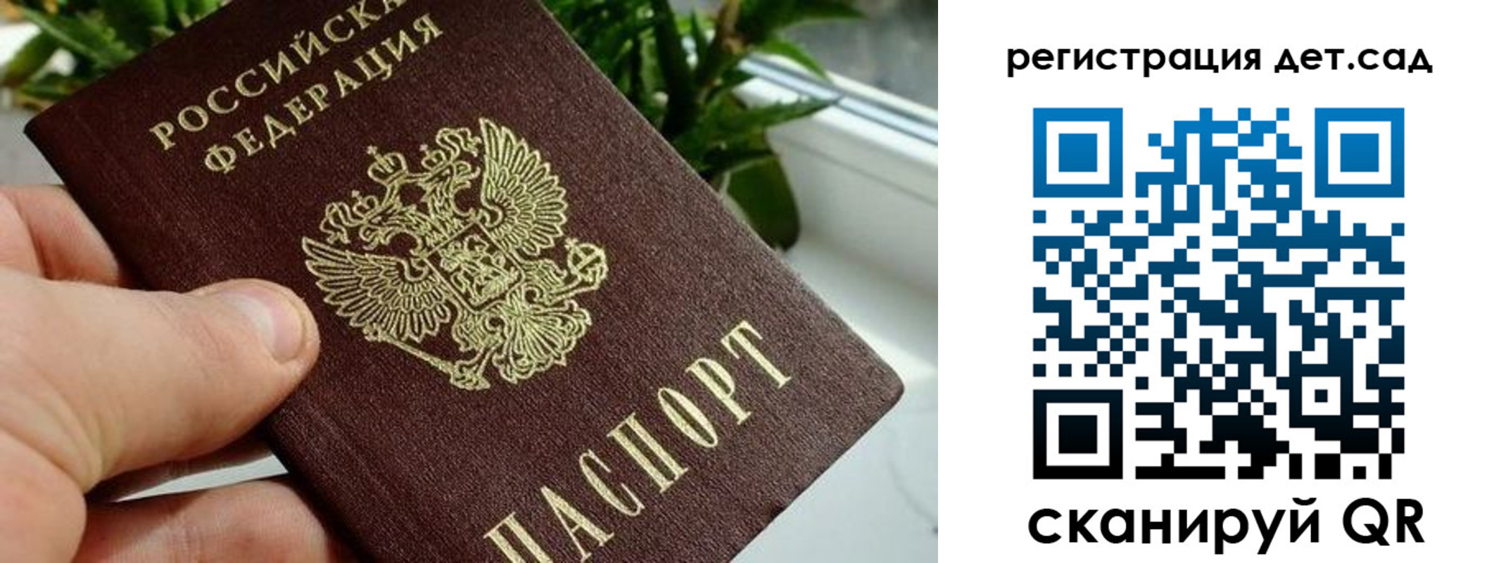 найти адрес прописки в Светлогорске